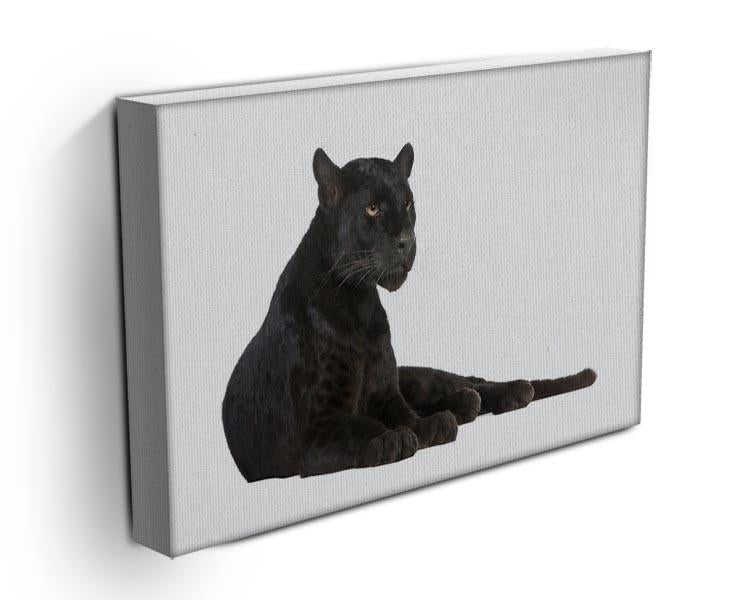 Black Leopard 6 years Canvas Print or Poster - Canvas Art Rocks - 3
