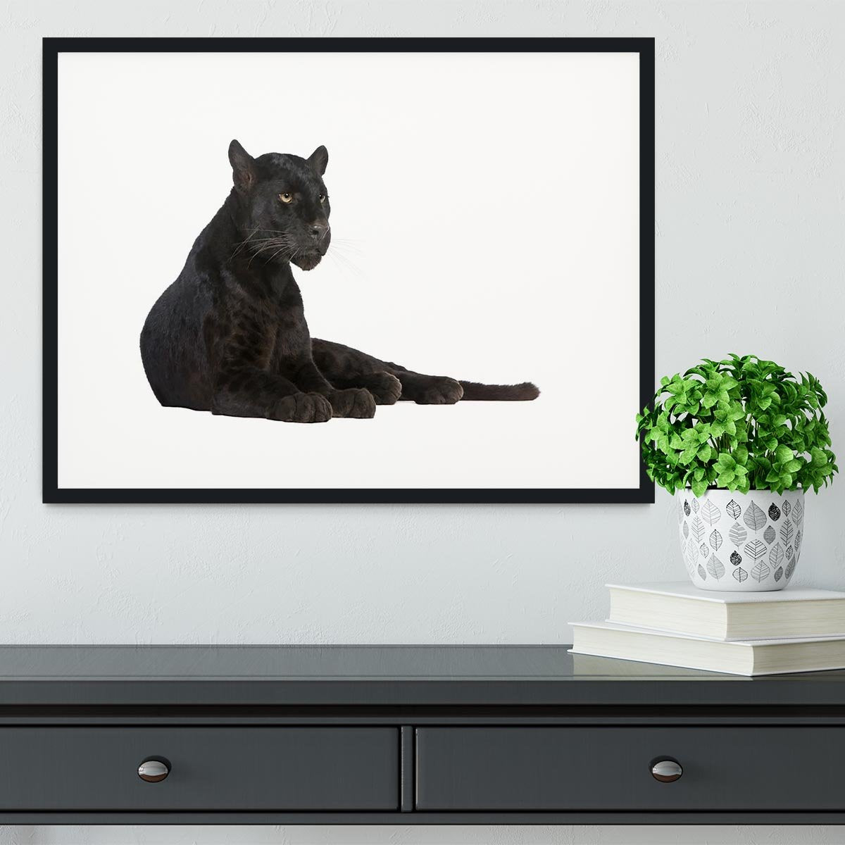 Black Leopard 6 years Framed Print - Canvas Art Rocks - 1