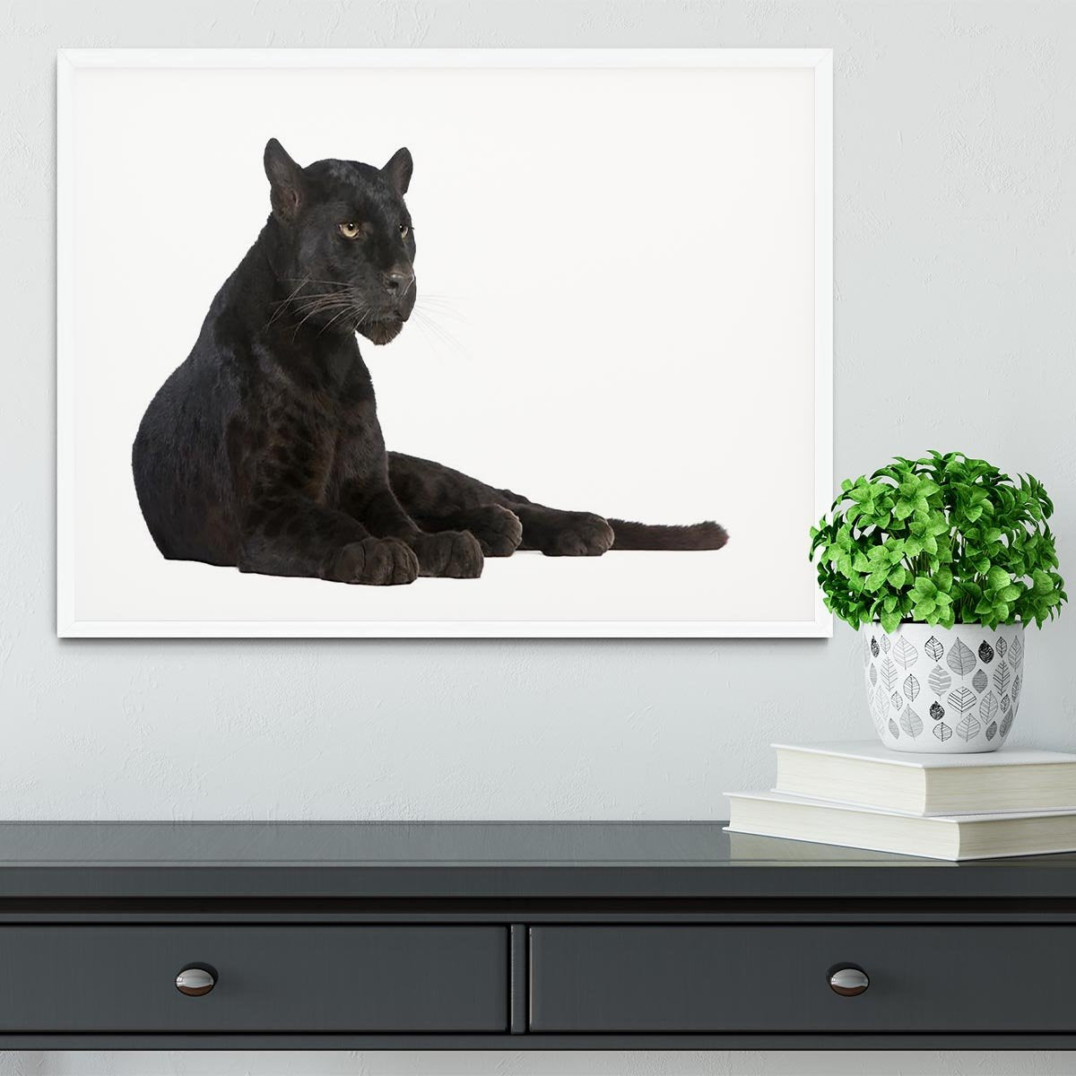 Black Leopard 6 years Framed Print - Canvas Art Rocks -6