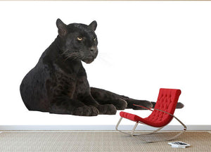 Black Leopard 6 years Wall Mural Wallpaper - Canvas Art Rocks - 2