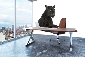 Black Leopard 6 years Wall Mural Wallpaper - Canvas Art Rocks - 3