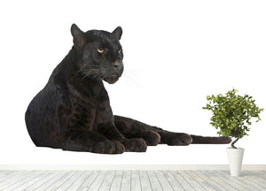Black Leopard 6 years Wall Mural Wallpaper - Canvas Art Rocks - 4