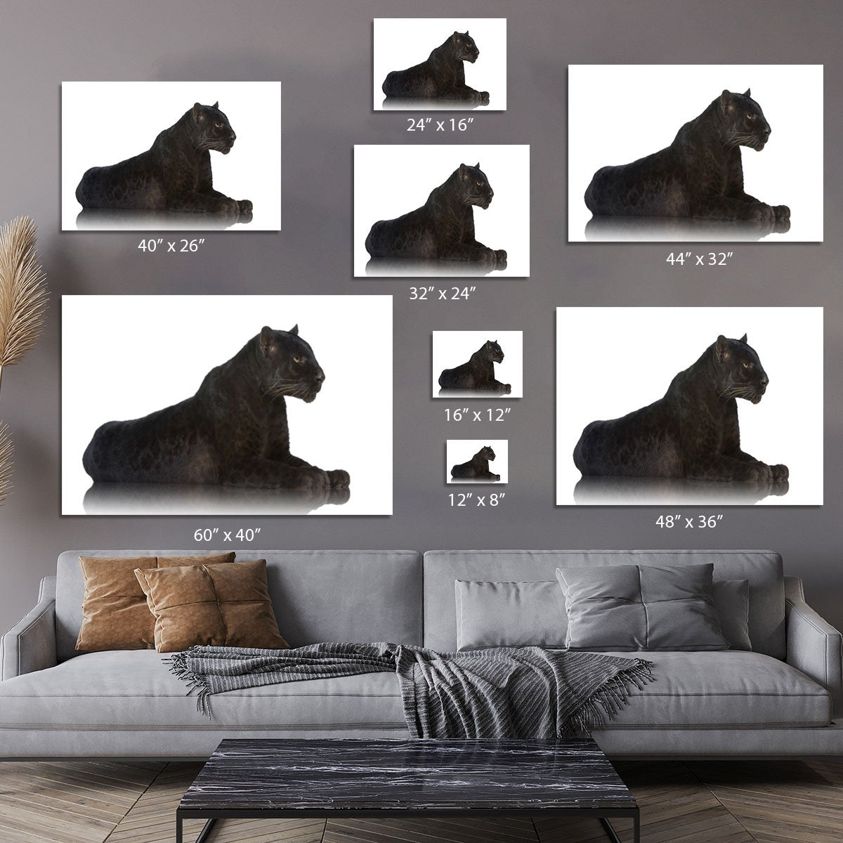 Black Leopard 6 years in front of a white background Canvas Print or Poster