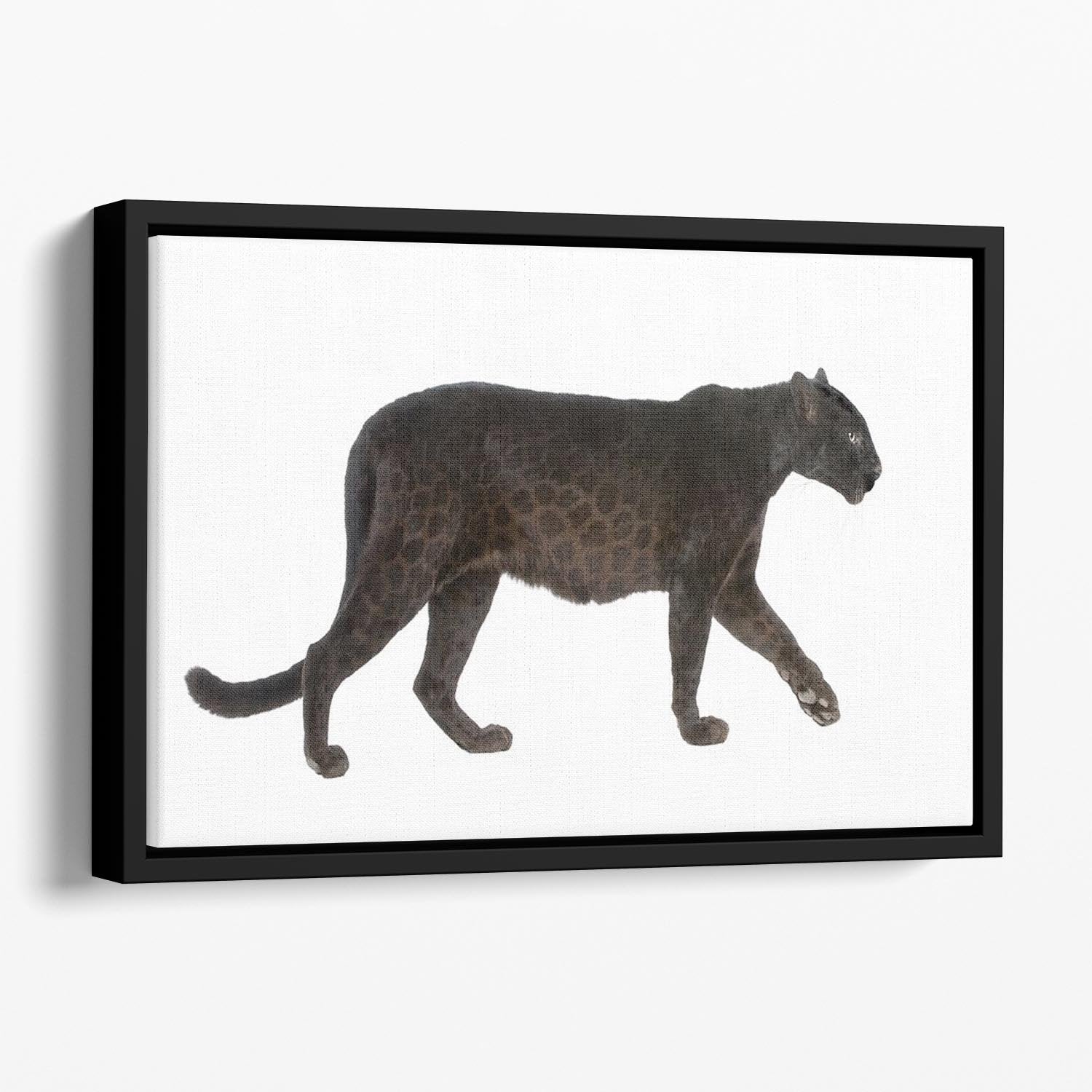 Black Leopard Floating Framed Canvas - Canvas Art Rocks - 1