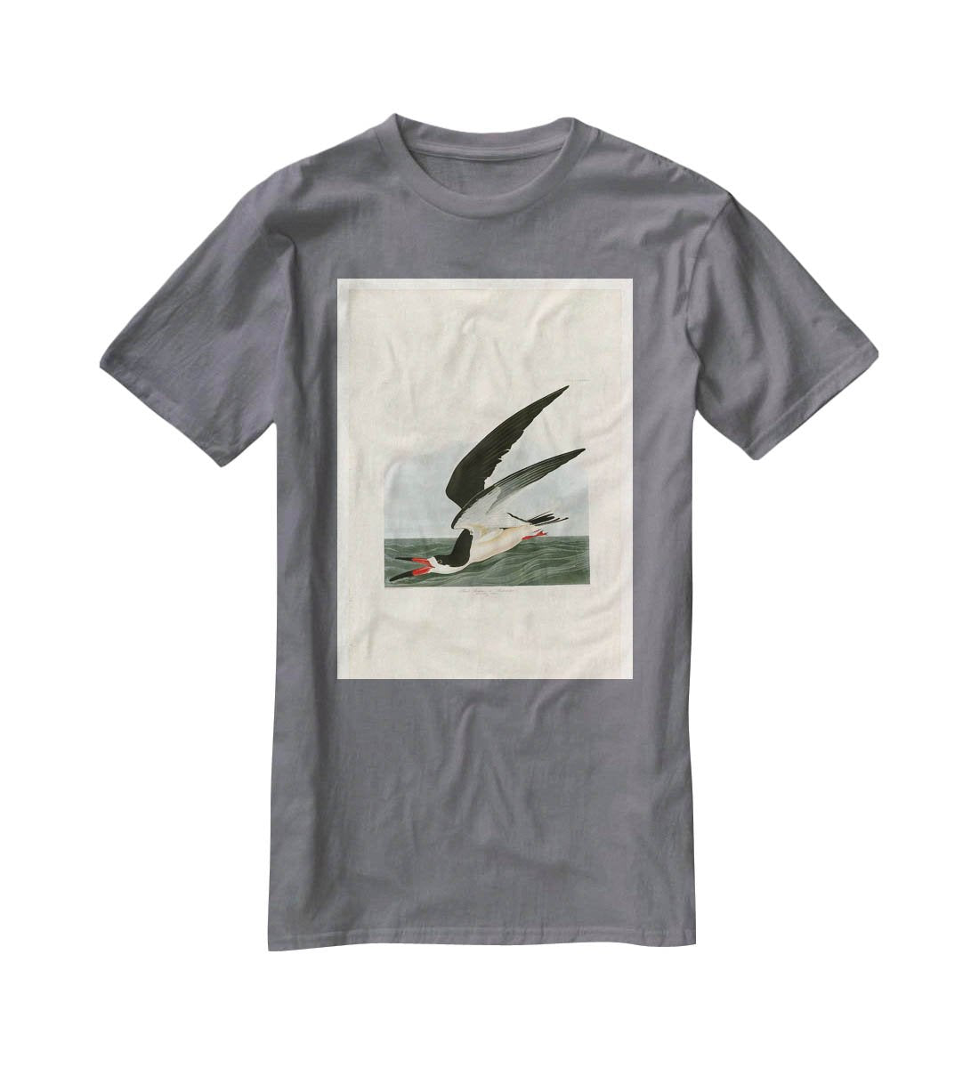 Black Skimmer by Audubon T-Shirt - Canvas Art Rocks - 3