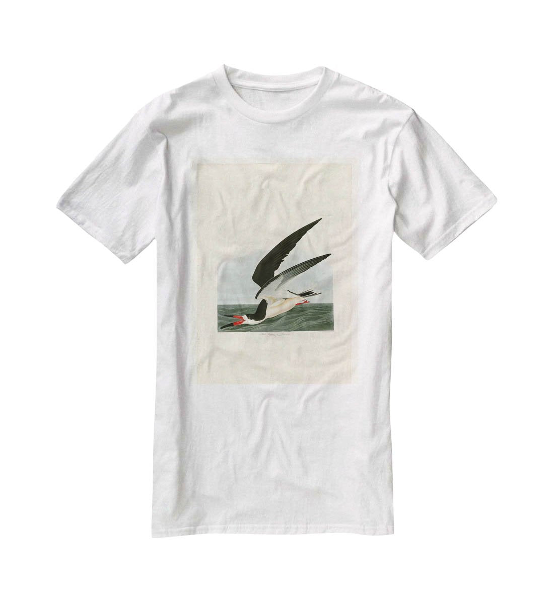 Black Skimmer by Audubon T-Shirt - Canvas Art Rocks - 5
