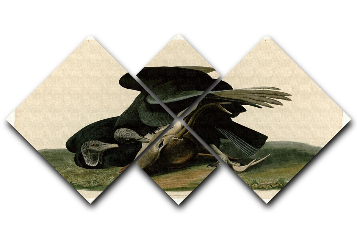 Black Vulture by Audubon 4 Square Multi Panel Canvas - Canvas Art Rocks - 1