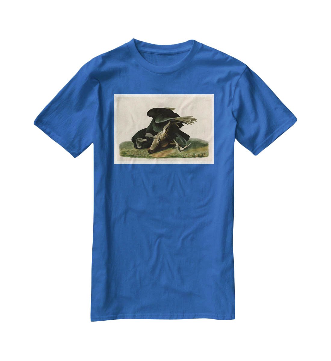 Black Vulture by Audubon T-Shirt - Canvas Art Rocks - 2