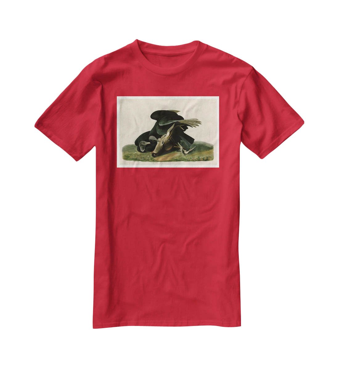 Black Vulture by Audubon T-Shirt - Canvas Art Rocks - 4