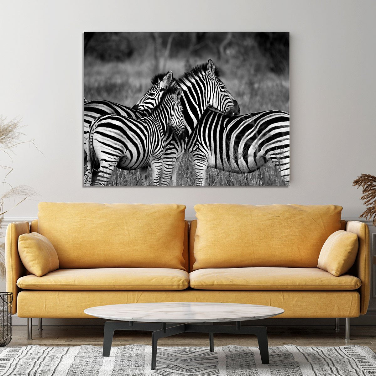 Black and White Zebra Canvas Print or Poster