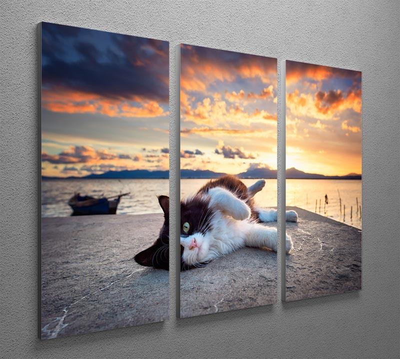 Black and white cat lying under a dramatic sunset 3 Split Panel Canvas Print - Canvas Art Rocks - 2