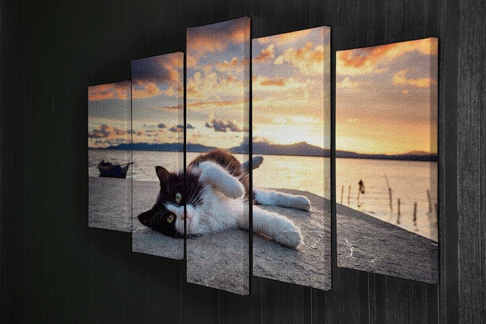 Black and white cat lying under a dramatic sunset 5 Split Panel Canvas - Canvas Art Rocks - 2