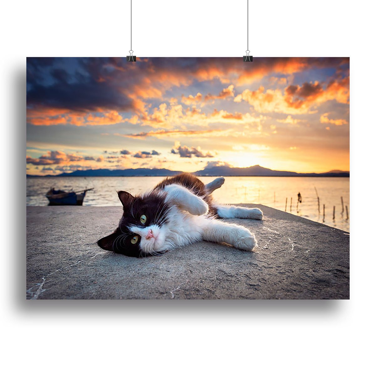 Black and white cat lying under a dramatic sunset Canvas Print or Poster