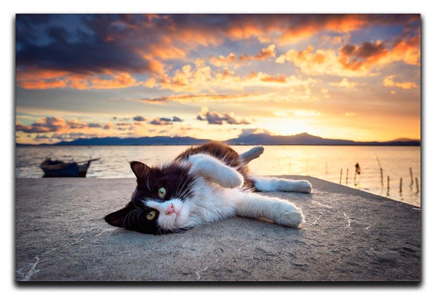 Black and white cat lying under a dramatic sunset Canvas Print or Poster - Canvas Art Rocks - 1
