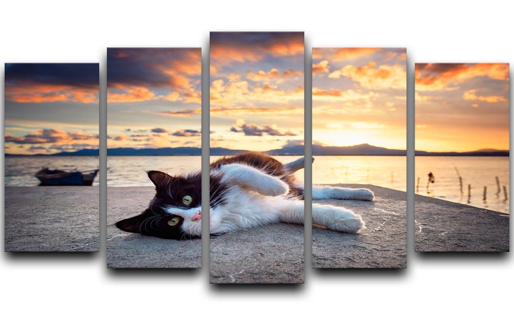 Black and white cat lying under a dramatic sunset on the lagoon 5 Split Panel Canvas - Canvas Art Rocks - 1