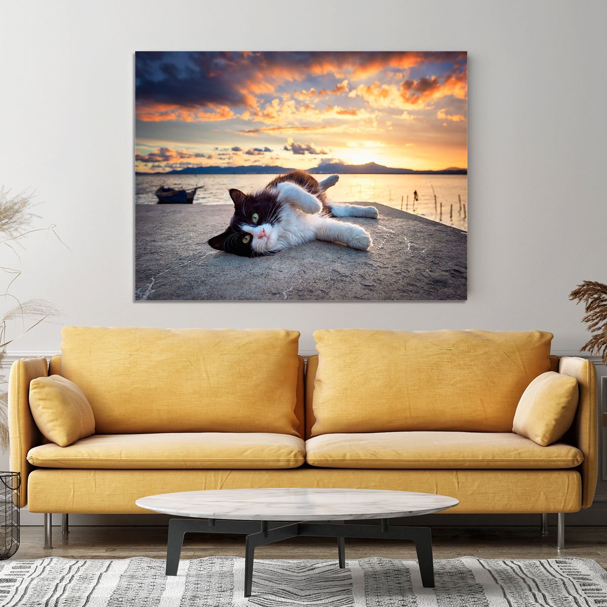 Black and white cat lying under a dramatic sunset on the lagoon Canvas Print or Poster