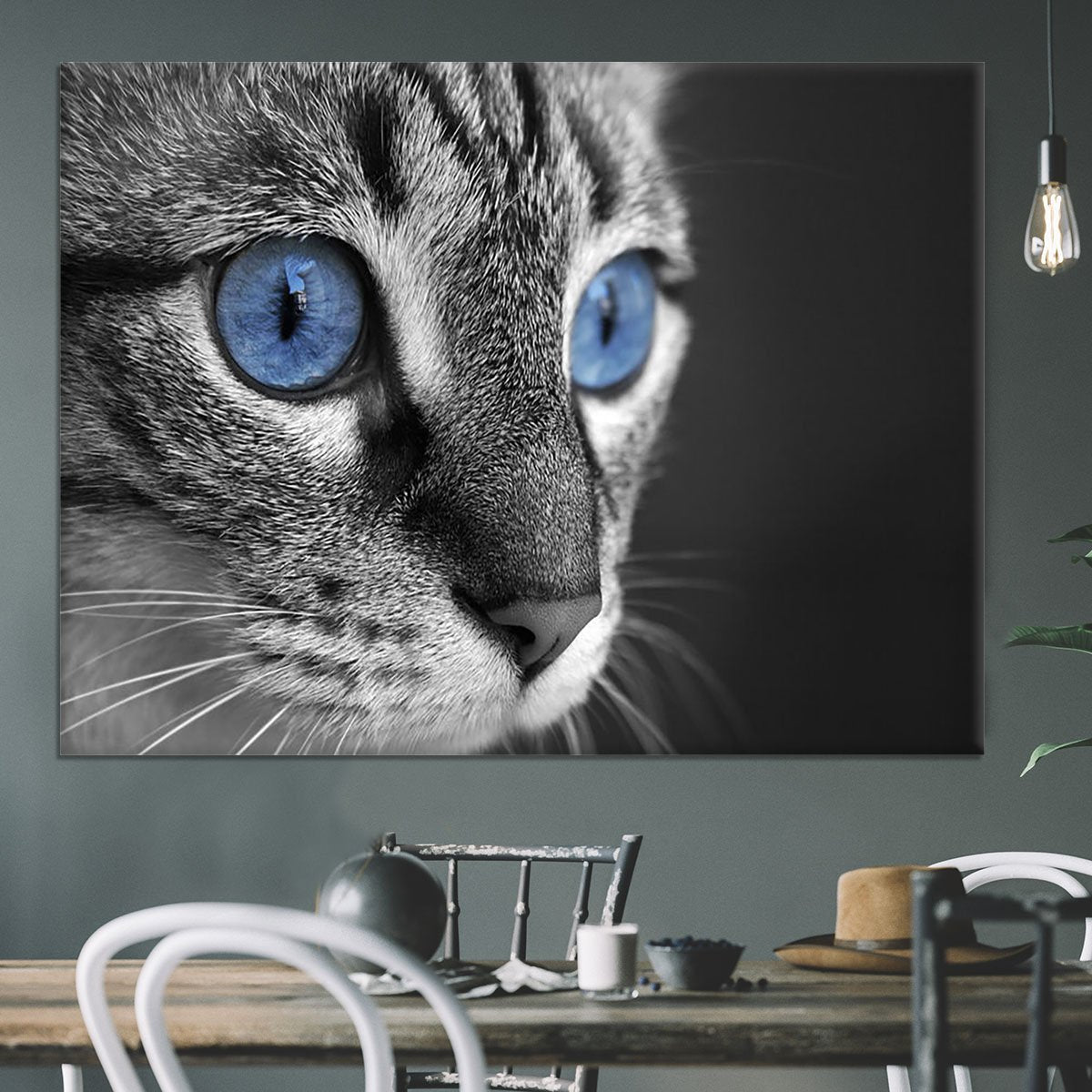 Black and white close up of cat with deep blue eyes Canvas Print or Poster