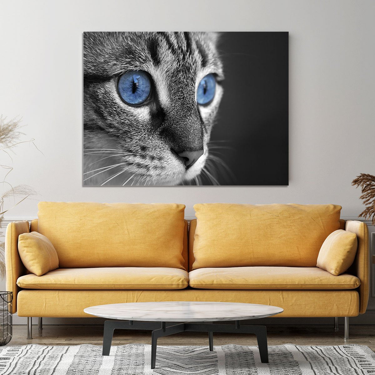Black and white close up of cat with deep blue eyes Canvas Print or Poster
