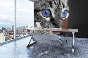Black and white close up of cat with deep blue eyes Wall Mural Wallpaper - Canvas Art Rocks - 3