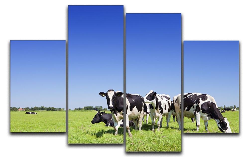 Black and white cows 4 Split Panel Canvas - Canvas Art Rocks - 1