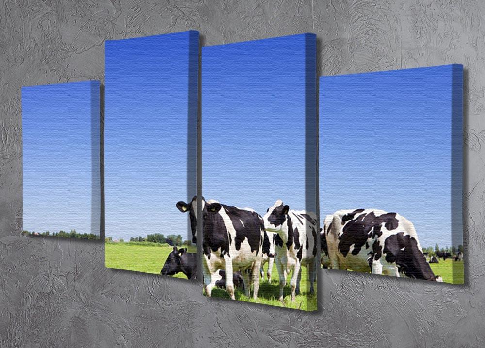 Black and white cows 4 Split Panel Canvas - Canvas Art Rocks - 2