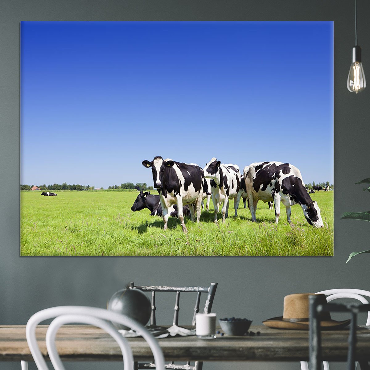 Black and white cows Canvas Print or Poster