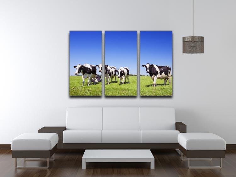 Black and white cows in a grassy field 3 Split Panel Canvas Print - Canvas Art Rocks - 3