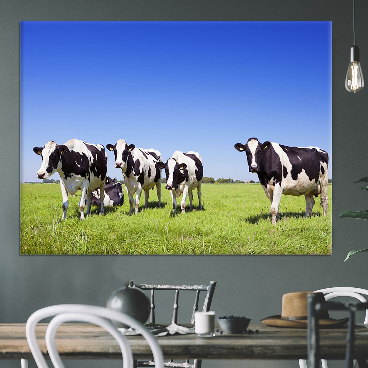 Black and white cows in a grassy field Canvas Print or Poster
