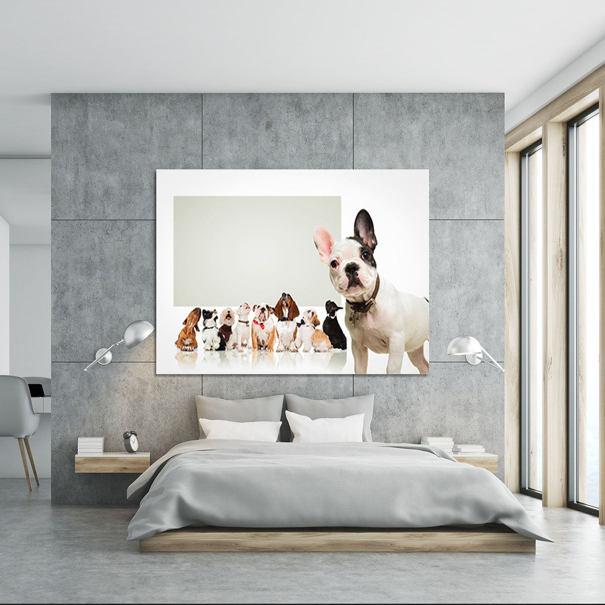 Black and white french bulldog puppy Canvas Print or Poster