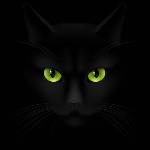 Black cat with green eyes Wall Mural Wallpaper - Canvas Art Rocks - 1