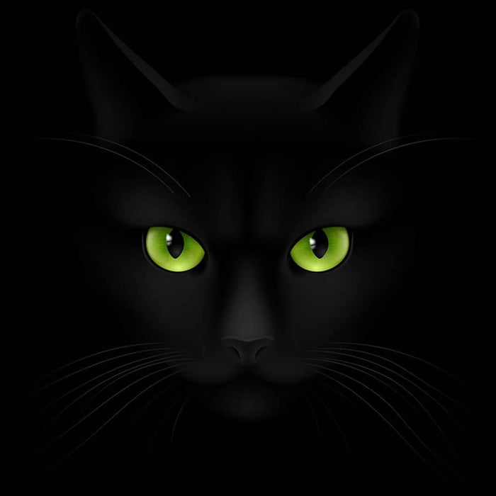 Black cat with green eyes Wall Mural Wallpaper