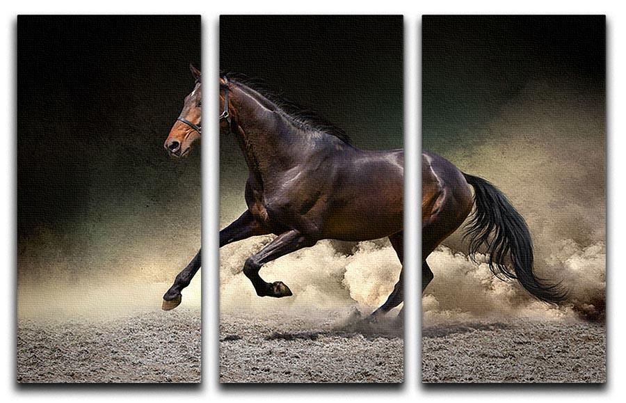 Black horse run gallop in dust desert 3 Split Panel Canvas Print - Canvas Art Rocks - 1