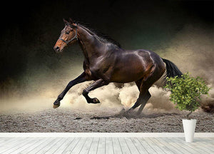 Black horse run gallop in dust desert Wall Mural Wallpaper - Canvas Art Rocks - 4