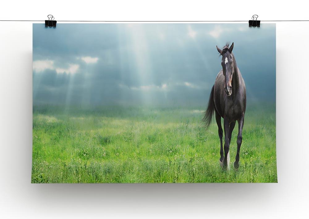 Black horse running Canvas Print or Poster - Canvas Art Rocks - 2