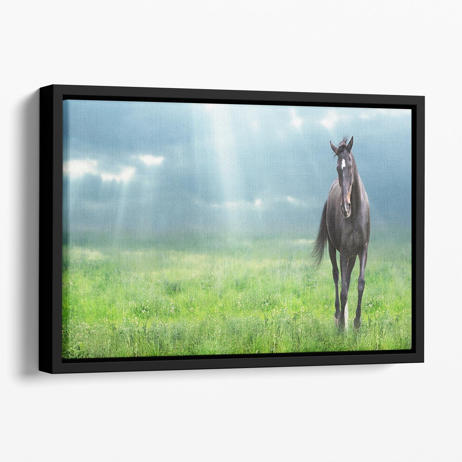 Black horse running Floating Framed Canvas - Canvas Art Rocks - 1