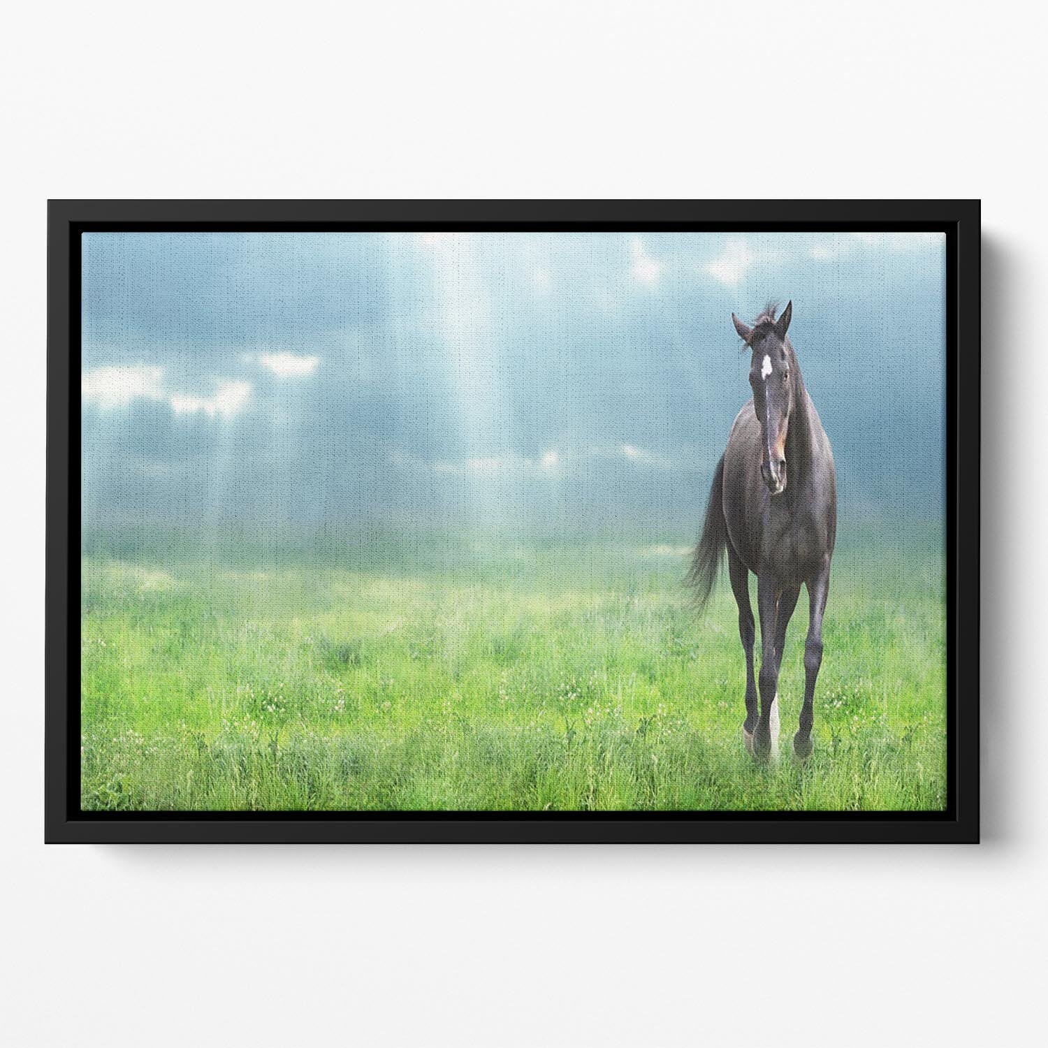 Black horse running Floating Framed Canvas - Canvas Art Rocks - 2