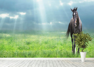 Black horse running Wall Mural Wallpaper - Canvas Art Rocks - 4