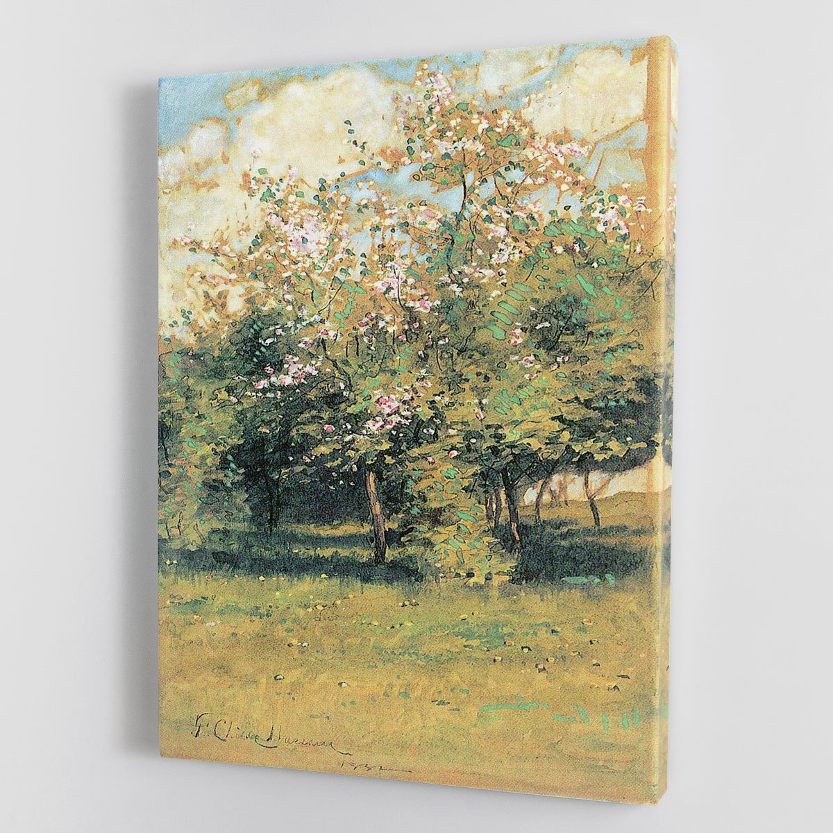 Blooming Trees by Hassam Canvas Print or Poster