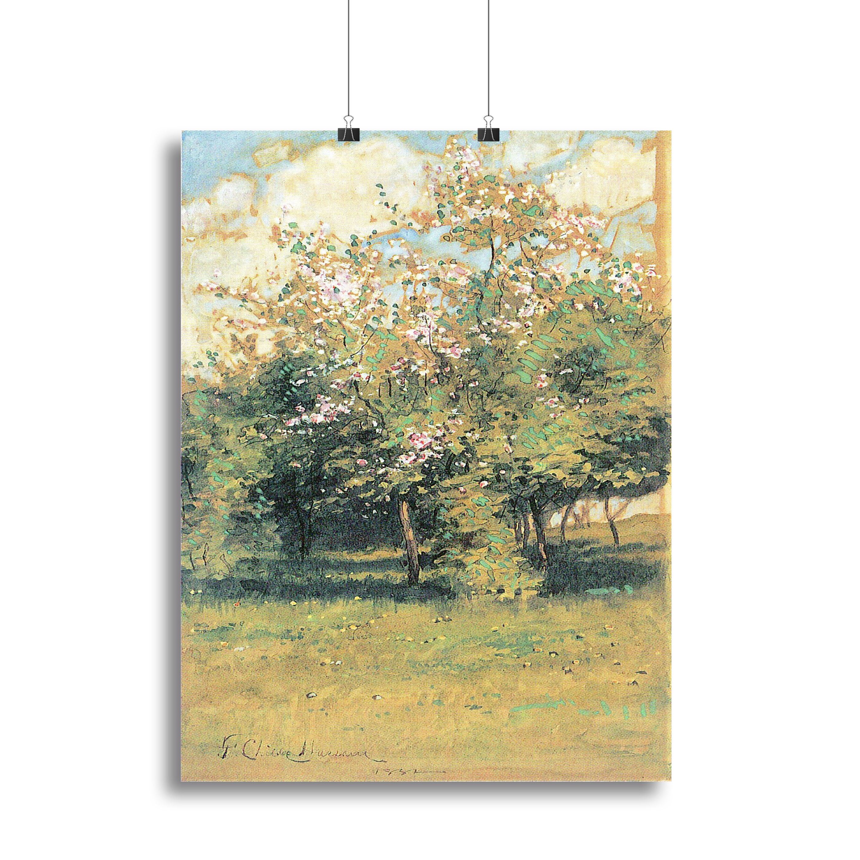 Blooming Trees by Hassam Canvas Print or Poster