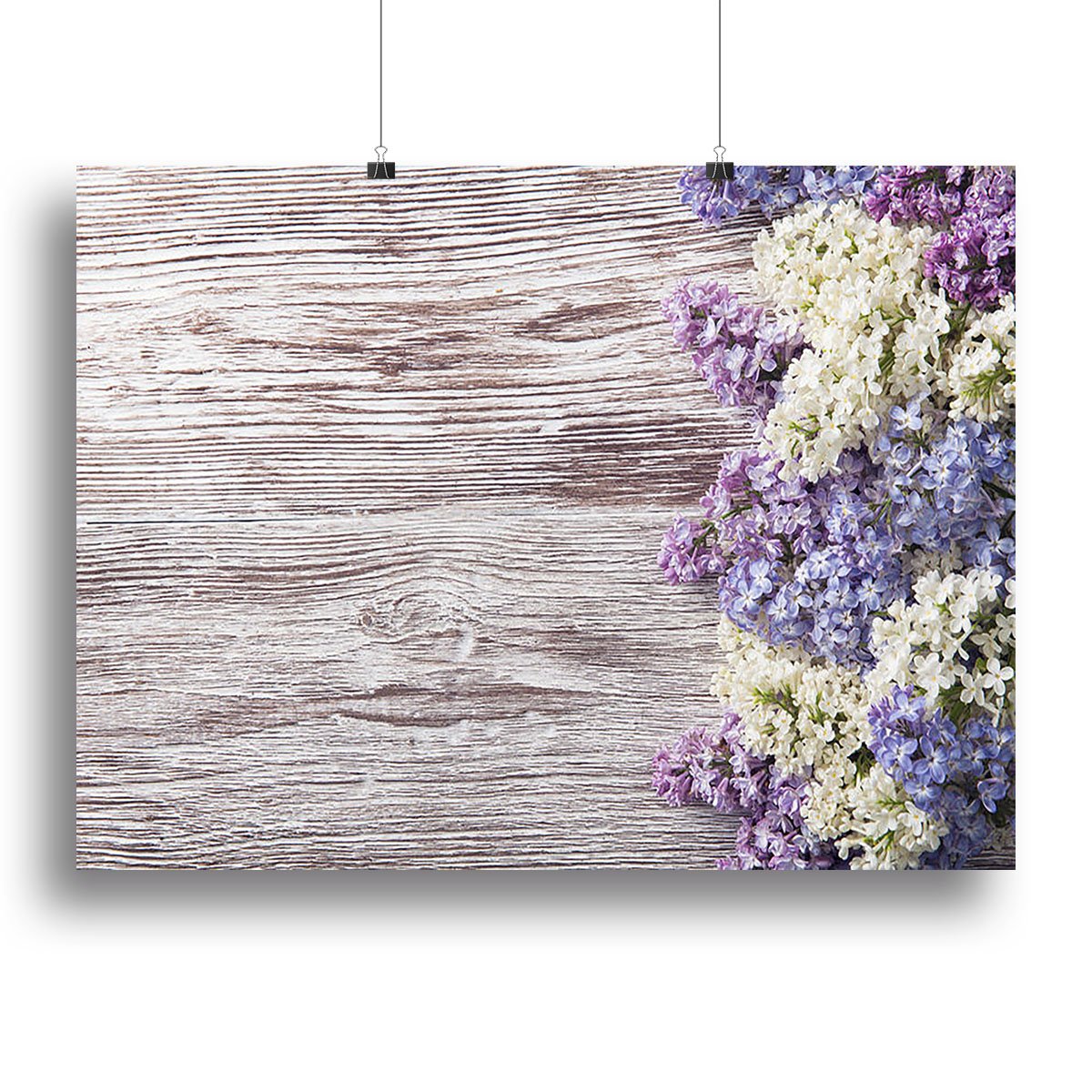 Blossom branch on wooden Canvas Print or Poster