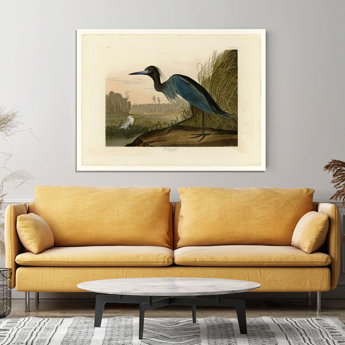 Blue Crane by Audubon Canvas Print or Poster