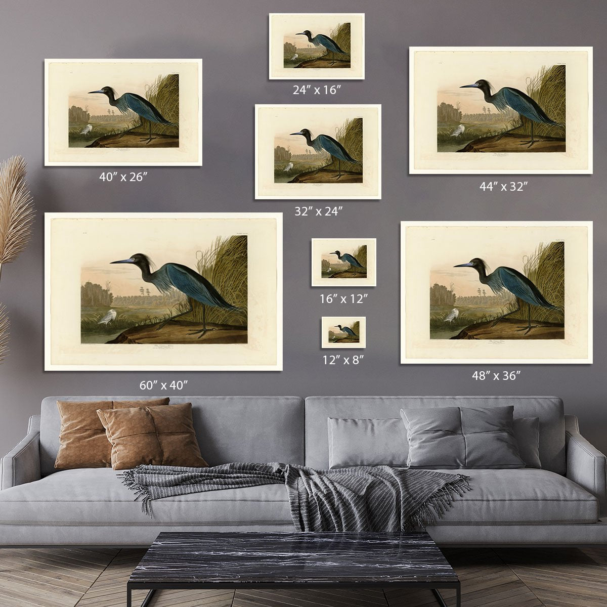 Blue Crane by Audubon Canvas Print or Poster