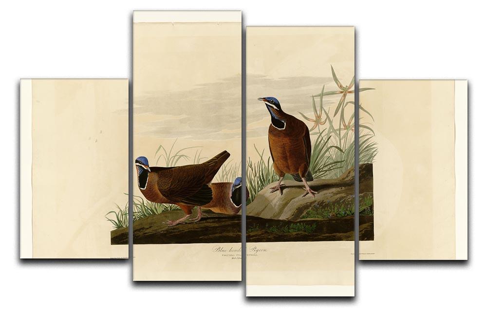 Blue headed Pigeon by Audubon 4 Split Panel Canvas - Canvas Art Rocks - 1