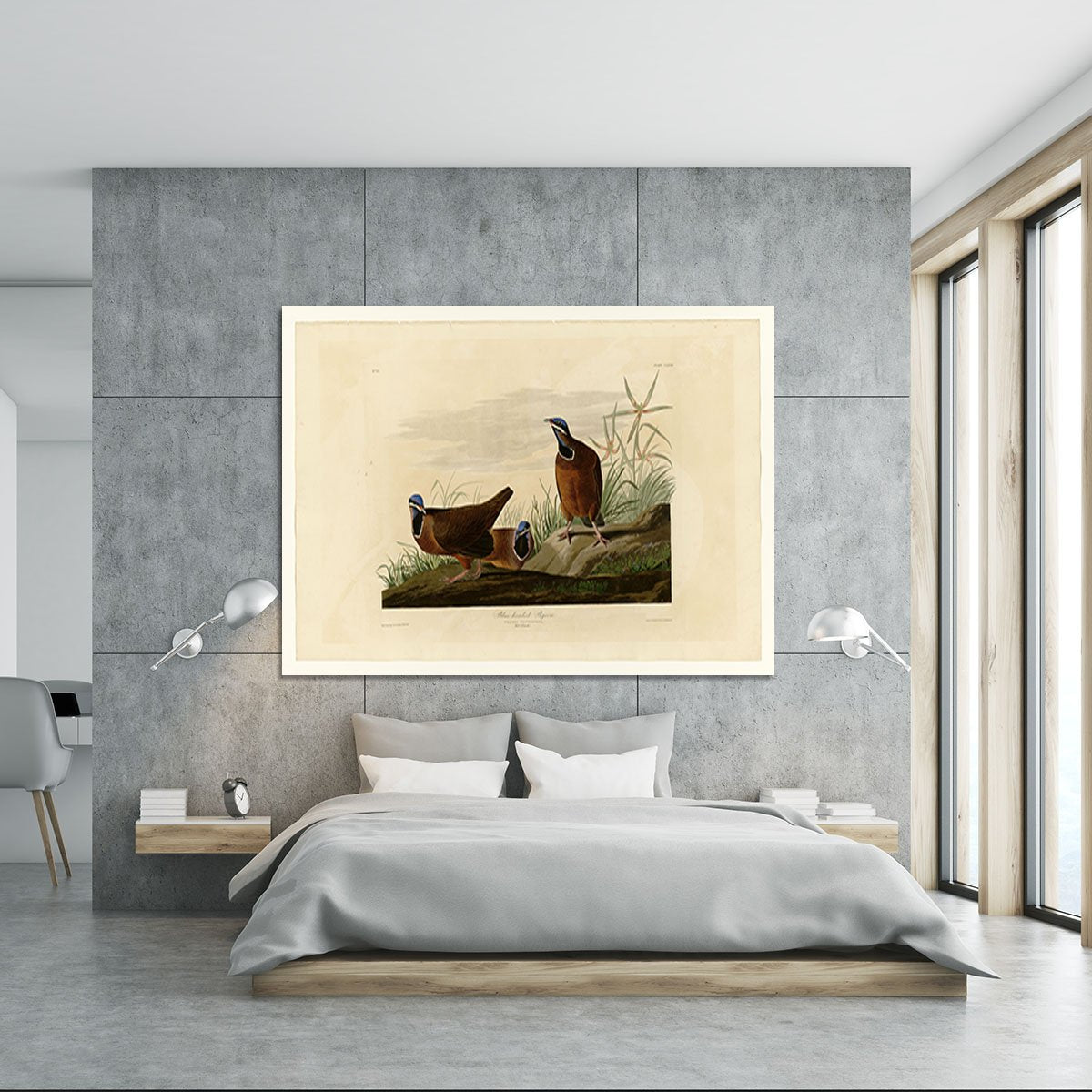 Blue headed Pigeon by Audubon Canvas Print or Poster