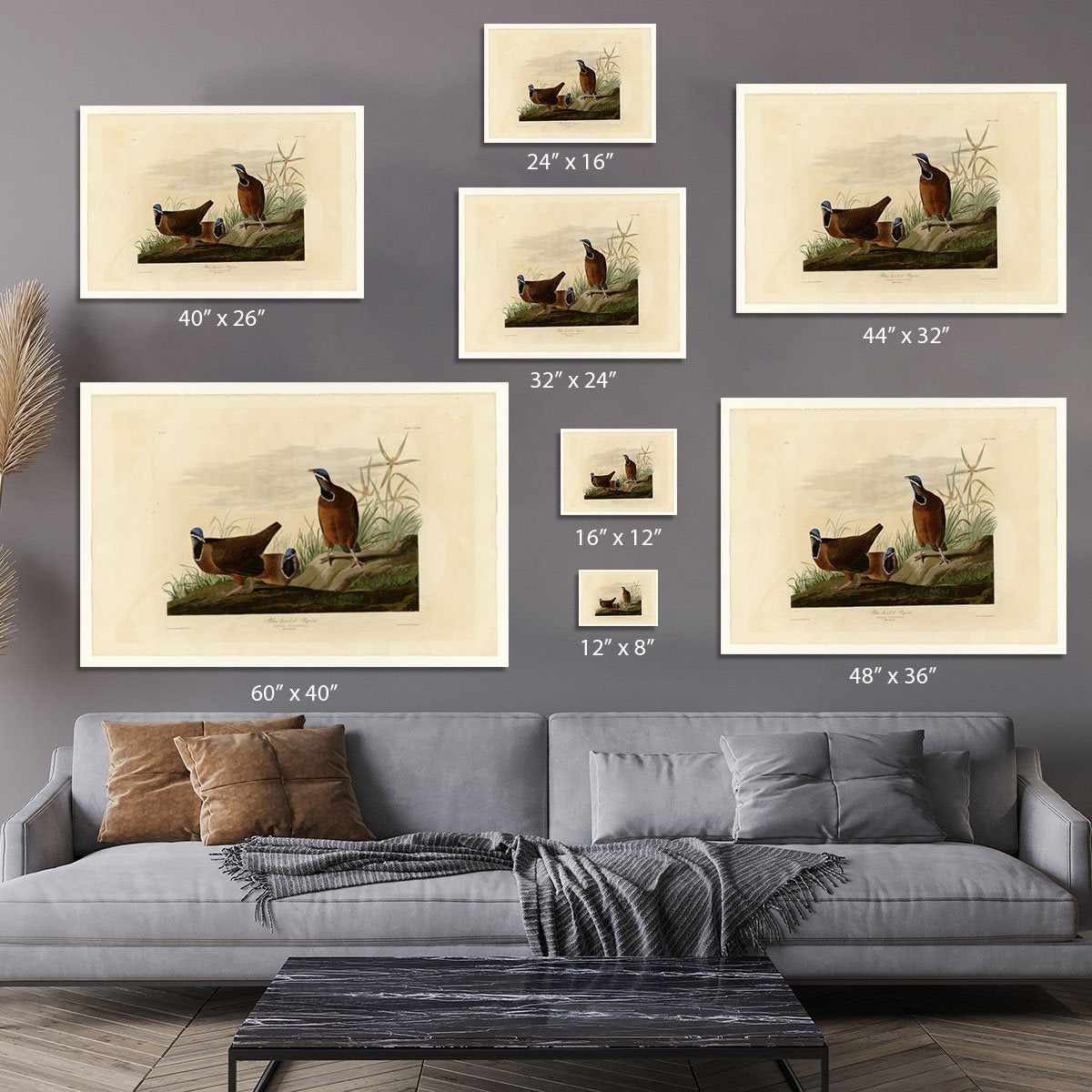 Blue headed Pigeon by Audubon Canvas Print or Poster