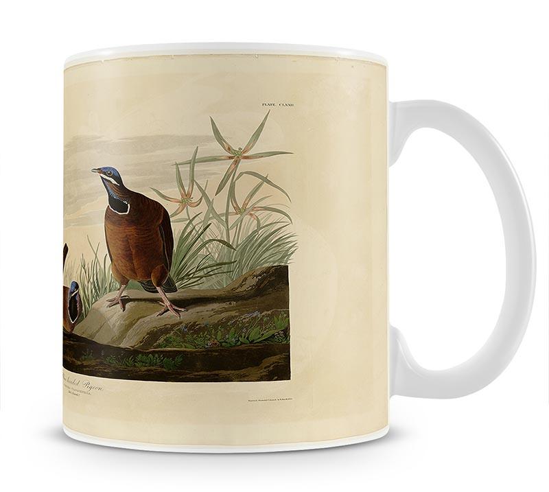 Blue headed Pigeon by Audubon Mug - Canvas Art Rocks - 1