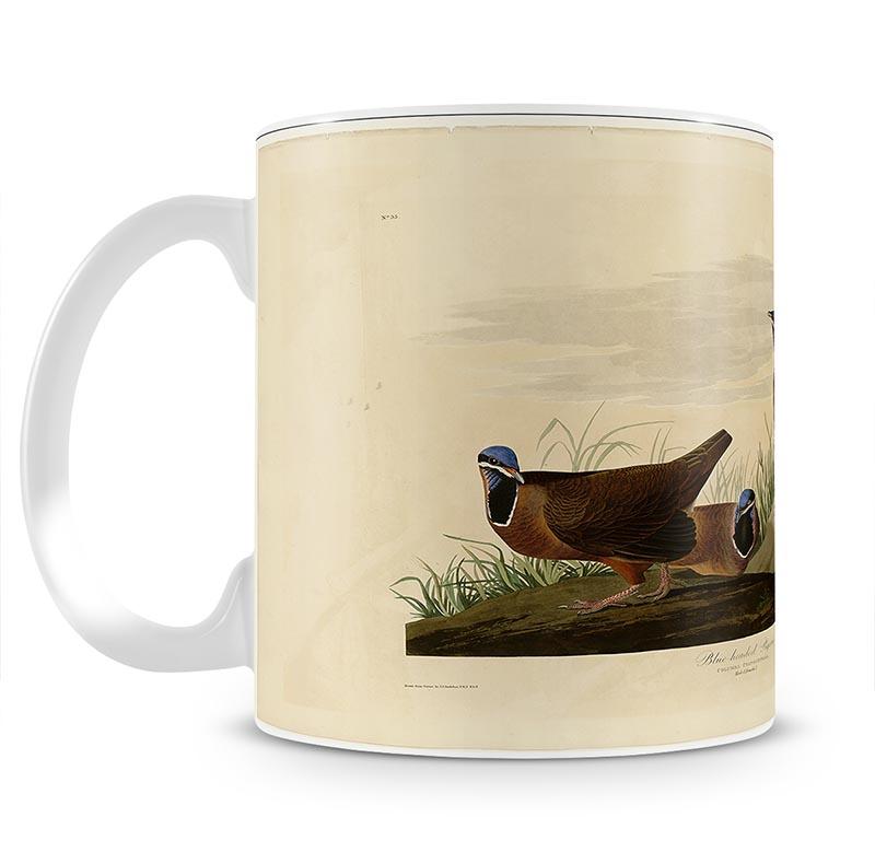 Blue headed Pigeon by Audubon Mug - Canvas Art Rocks - 1