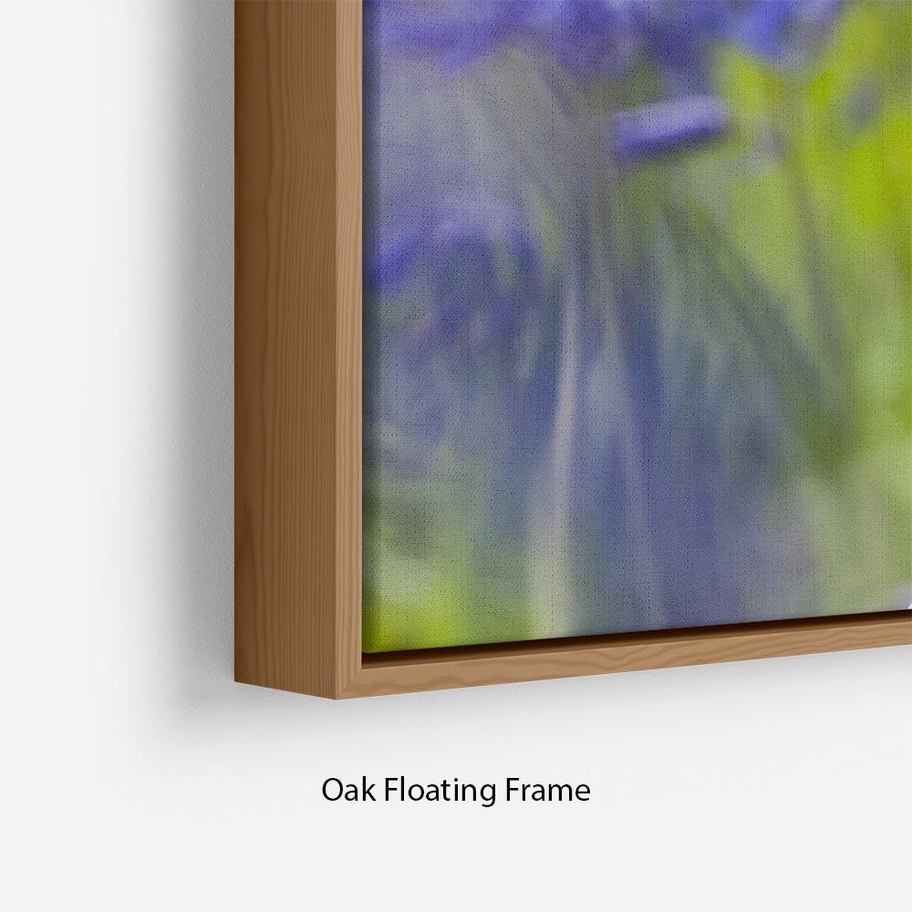 Bluebells Floating Frame Canvas - Canvas Art Rocks - 10