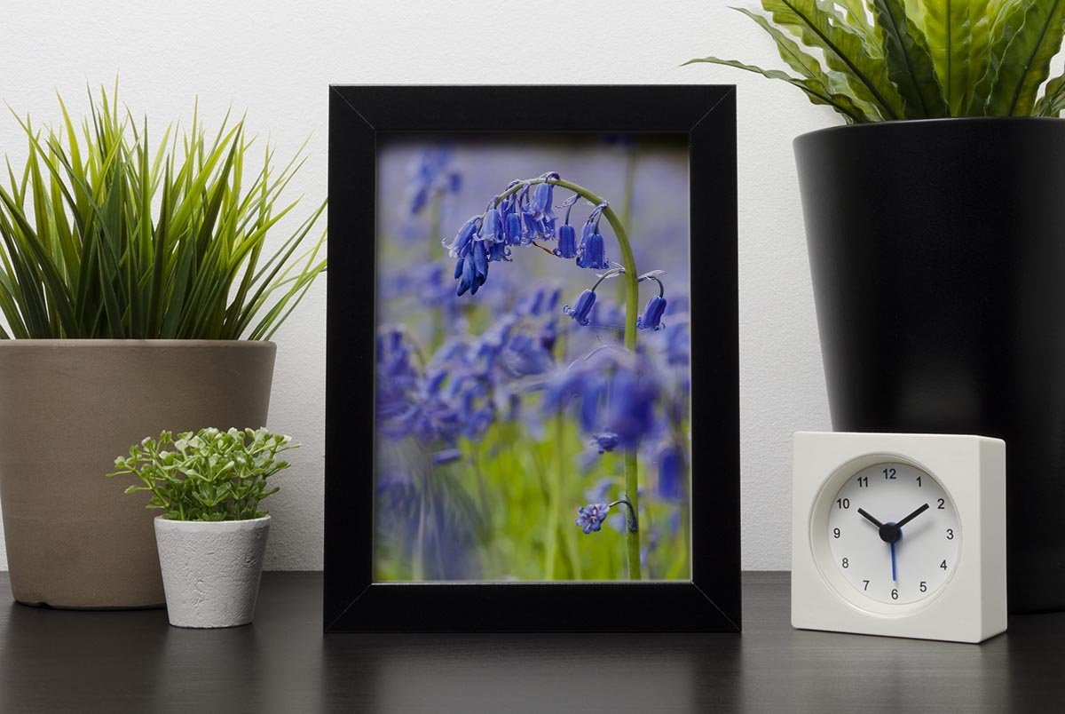 Bluebells Framed Print - Canvas Art Rocks - 2