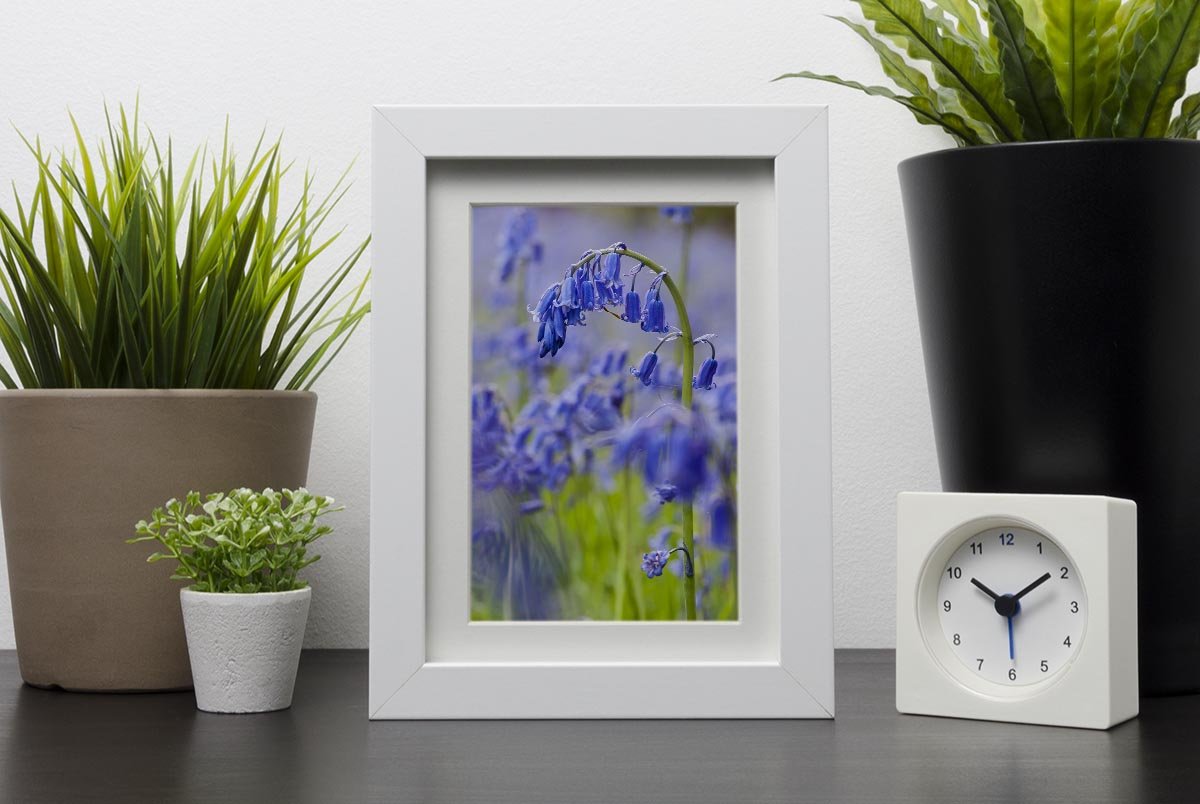 Bluebells Framed Print - Canvas Art Rocks - 3